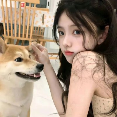 网劫